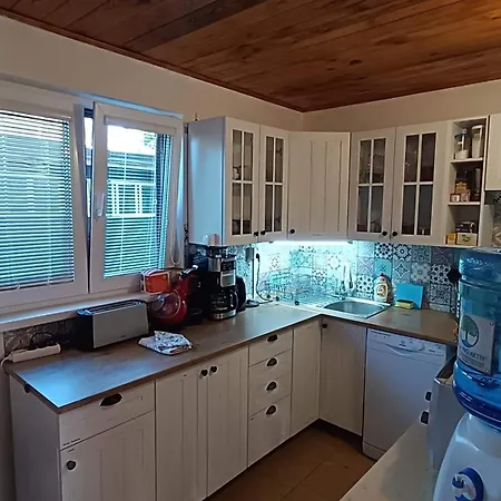 Marecek - V Lesni Osade U Reky Luznice