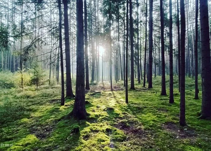 Marecek - V Lesni Osade U Reky Luznice * Skalice (Tabor)